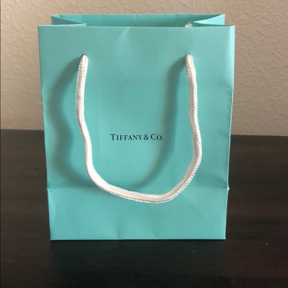 TIFFANY Gift Bag *NEW*